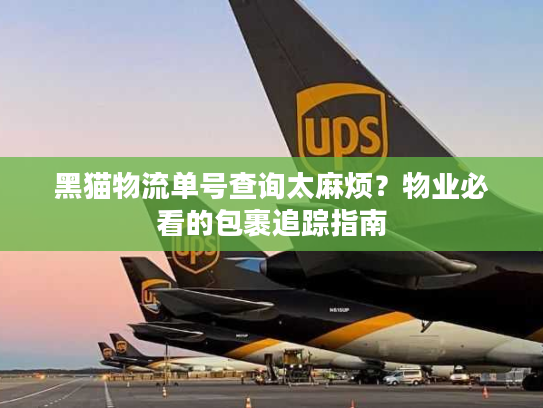 黑猫物流单号查询太麻烦？物业必看的包裹追踪指南