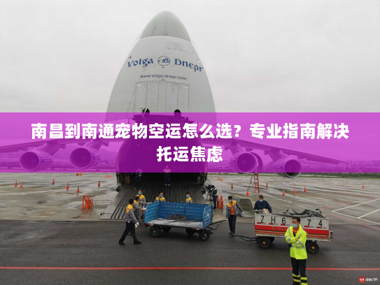 南昌到南通宠物空运怎么选？专业指南解决托运焦虑