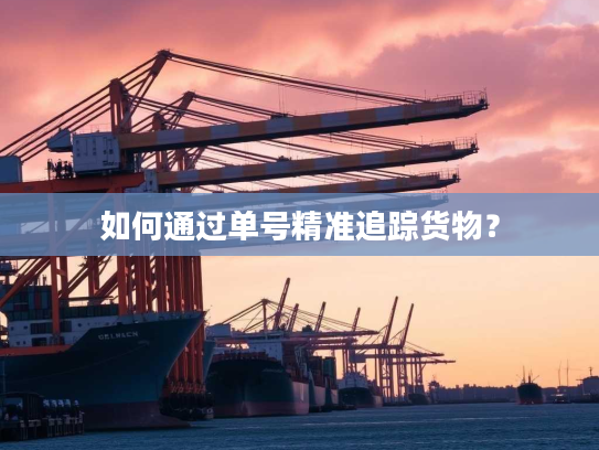 如何通过单号精准追踪货物？