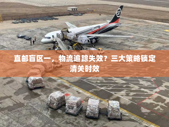 直邮盲区一，物流追踪失效？三大策略锁定清关时效