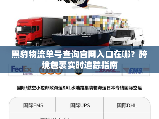 黑豹物流单号查询官网入口在哪？跨境包裹实时追踪指南