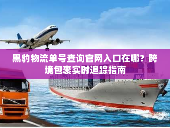 黑豹物流单号查询官网入口在哪？跨境包裹实时追踪指南