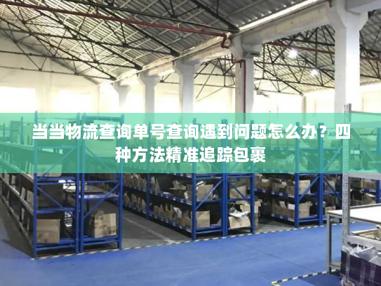 当当物流查询单号查询遇到问题怎么办？四种方法精准追踪包裹