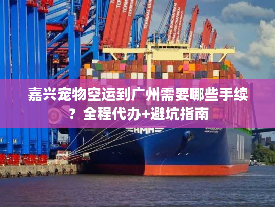 嘉兴宠物空运到广州需要哪些手续？全程代办+避坑指南