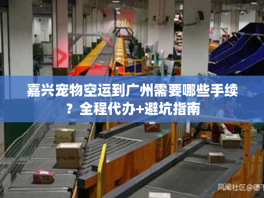 嘉兴宠物空运到广州需要哪些手续？全程代办+避坑指南