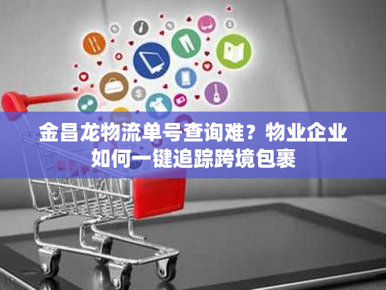 金昌龙物流单号查询难？物业企业如何一键追踪跨境包裹