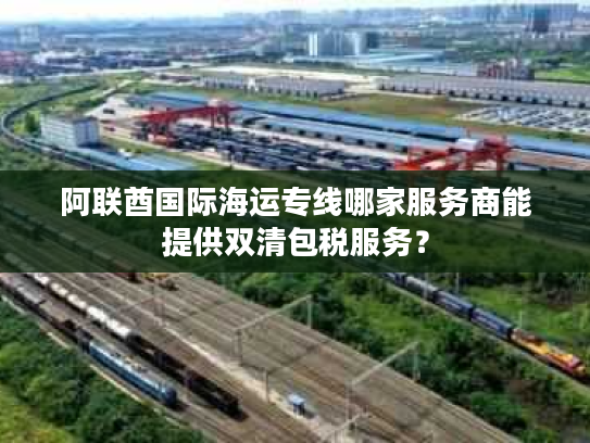 阿联酋国际海运专线哪家服务商能提供双清包税服务？