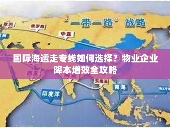 国际海运走专线如何选择？物业企业降本增效全攻略