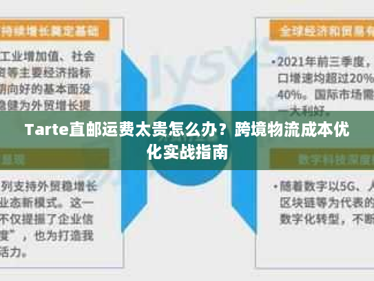 Tarte直邮运费太贵怎么办?跨境物流成本优化实战指南 Tarte直邮运费太贵怎么办?跨境物流成本优化实战指南