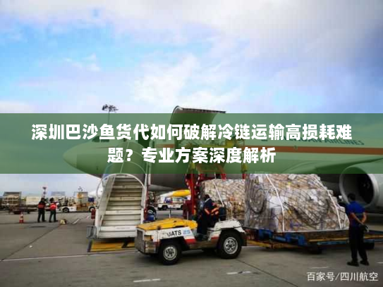 深圳巴沙鱼货代如何破解冷链运输高损耗难题？专业方案深度解析