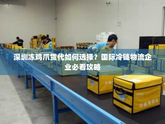 深圳冻鸡爪货代如何选择？国际冷链物流企业必看攻略