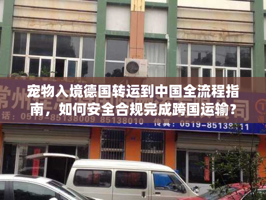 宠物入境德国转运到中国全流程指南，如何安全合规完成跨国运输？