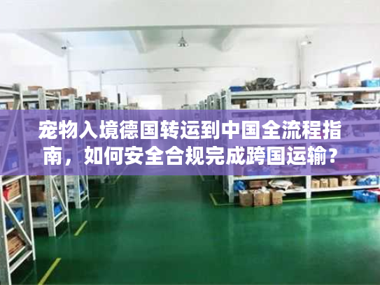 宠物入境德国转运到中国全流程指南，如何安全合规完成跨国运输？