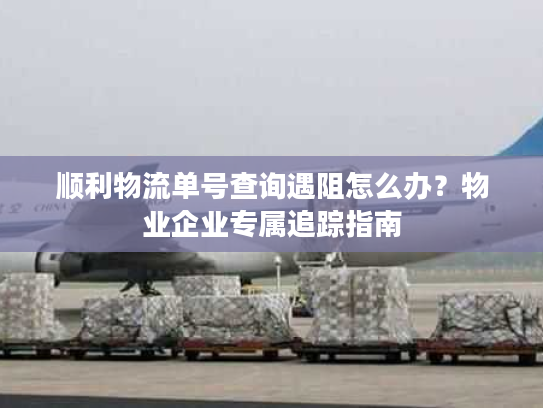 顺利物流单号查询遇阻怎么办？物业企业专属追踪指南