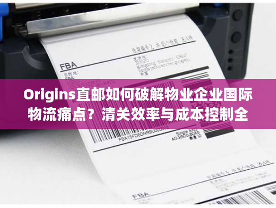 Origins直邮如何破解物业企业国际物流痛点？清关效率与成本控制全解析