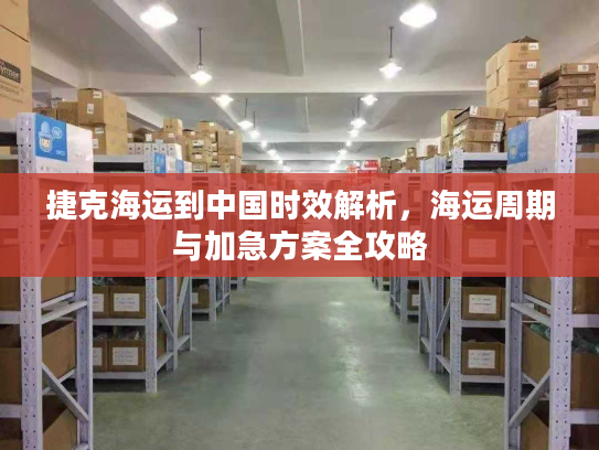 捷克海运到中国时效解析,海运周期与加急方案全攻略 捷克海运到中国时效解析,海运周期与加急方案全攻略