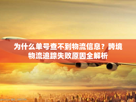 为什么单号查不到物流信息？跨境物流追踪失败原因全解析