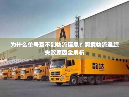 为什么单号查不到物流信息？跨境物流追踪失败原因全解析