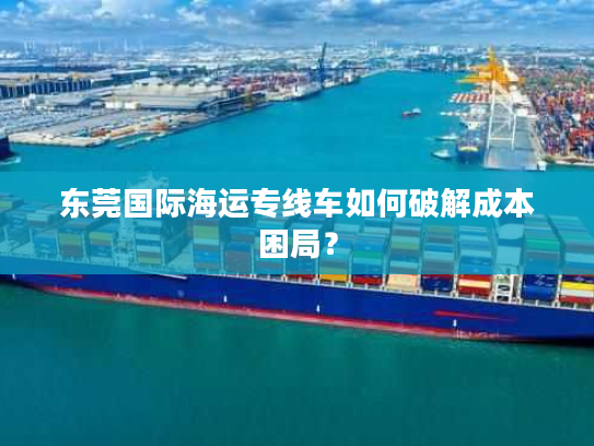 东莞国际海运专线车如何破解成本困局？