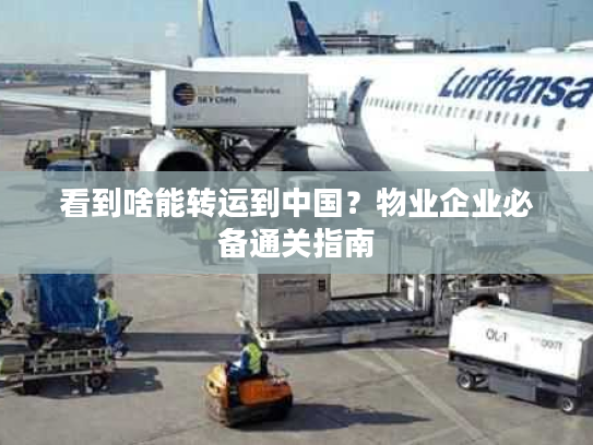 看到啥能转运到中国？物业企业必备通关指南