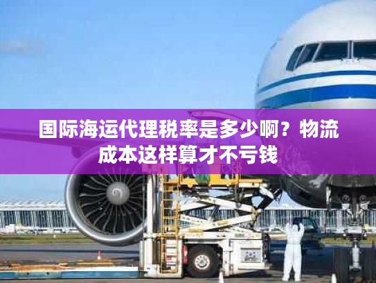 国际海运代理税率是多少啊？物流成本这样算才不亏钱