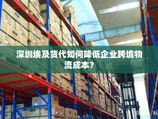 深圳埃及货代如何降低企业跨境物流成本？