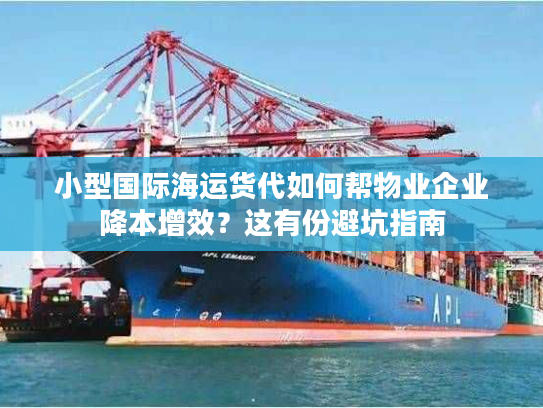 小型国际海运货代如何帮物业企业降本增效？这有份避坑指南