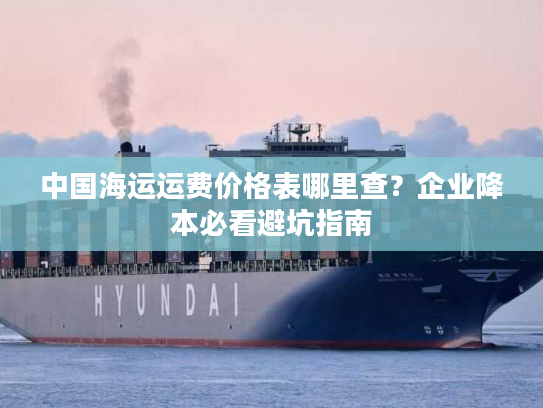 中国海运运费价格表哪里查？企业降本必看避坑指南