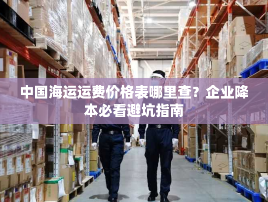 中国海运运费价格表哪里查？企业降本必看避坑指南