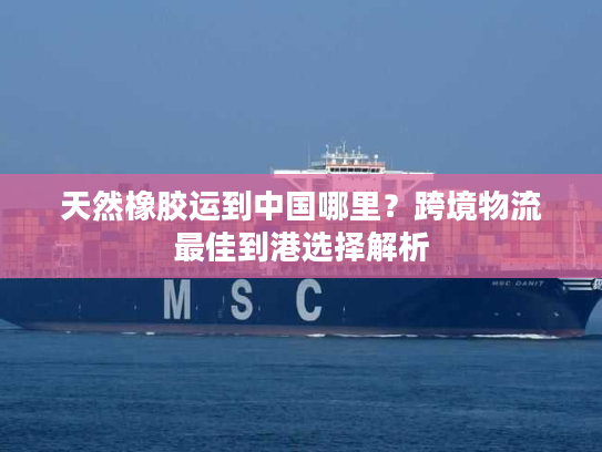 天然橡胶运到中国哪里？跨境物流最佳到港选择解析
