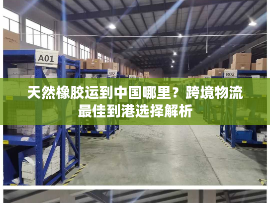 天然橡胶运到中国哪里？跨境物流最佳到港选择解析