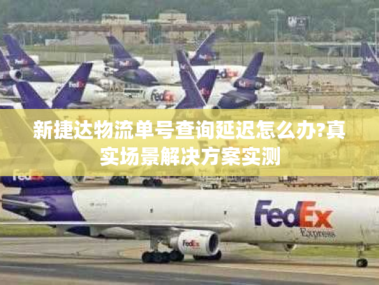 新捷达物流单号查询延迟怎么办?真实场景解决方案实测