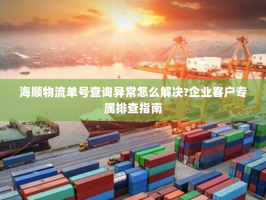 海顺物流单号查询异常怎么解决?企业客户专属排查指南