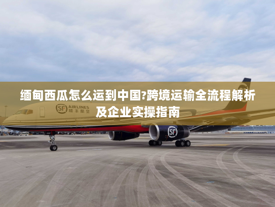 缅甸西瓜怎么运到中国?跨境运输全流程解析及企业实操指南