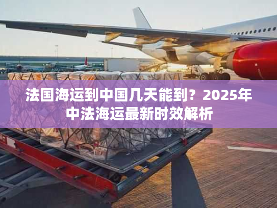 法国海运到中国几天能到？2025年中法海运最新时效解析