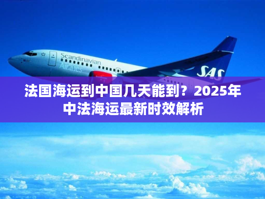 法国海运到中国几天能到？2025年中法海运最新时效解析