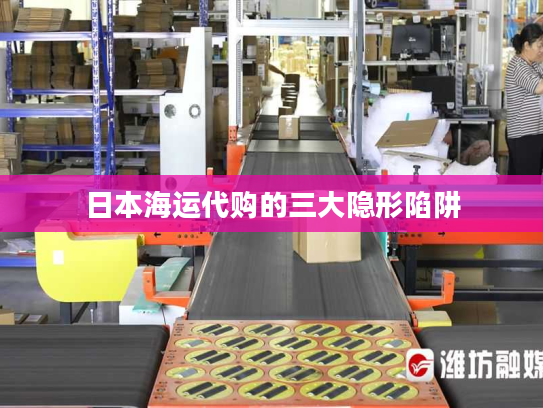 日本海运代购的三大隐形陷阱 日本海运代购的三大隐形陷阱