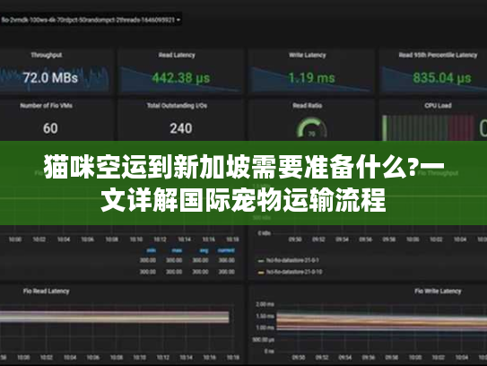 猫咪空运到新加坡需要准备什么?一文详解国际宠物运输流程 猫咪空运到新加坡需要准备什么?一文详解国际宠物运输流程