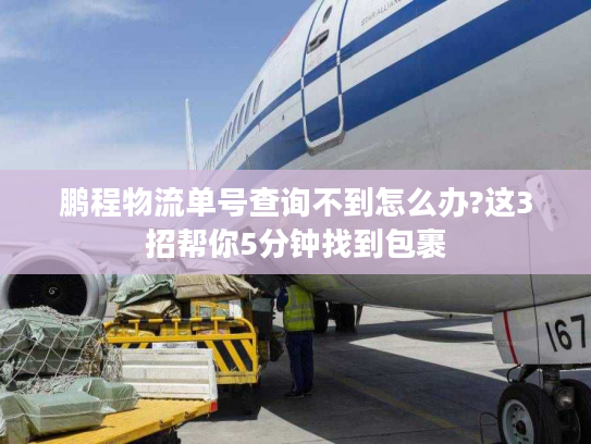 鹏程物流单号查询不到怎么办?这3招帮你5分钟找到包裹