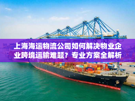 上海海运物流公司如何解决物业企业跨境运输难题？专业方案全解析