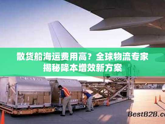散货船海运费用高？全球物流专家揭秘降本增效新方案