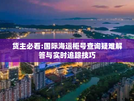 货主必看:国际海运柜号查询疑难解答与实时追踪技巧