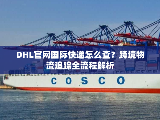 DHL官网国际快递怎么查？跨境物流追踪全流程解析