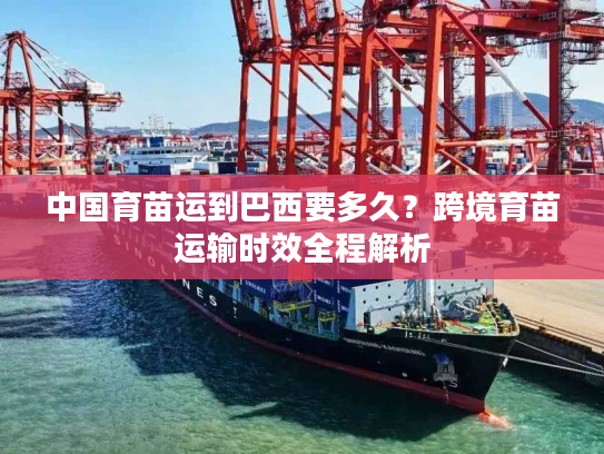 中国育苗运到巴西要多久？跨境育苗运输时效全程解析