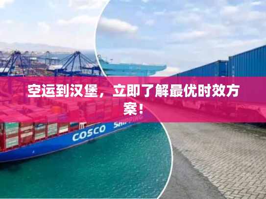 空运到汉堡，立即了解最优时效方案！