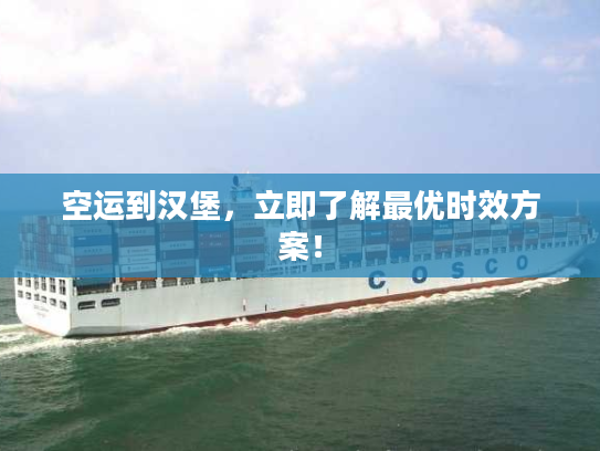 空运到汉堡，立即了解最优时效方案！