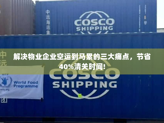 解决物业企业空运到马累的三大痛点，节省40%清关时间!
