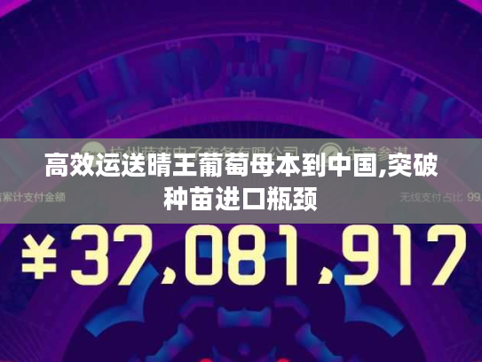 高效运送晴王葡萄母本到中国,突破种苗进口瓶颈