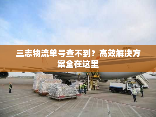 三志物流单号查不到？高效解决方案全在这里