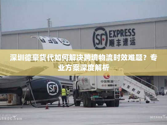 深圳德豪货代如何解决跨境物流时效难题？专业方案深度解析